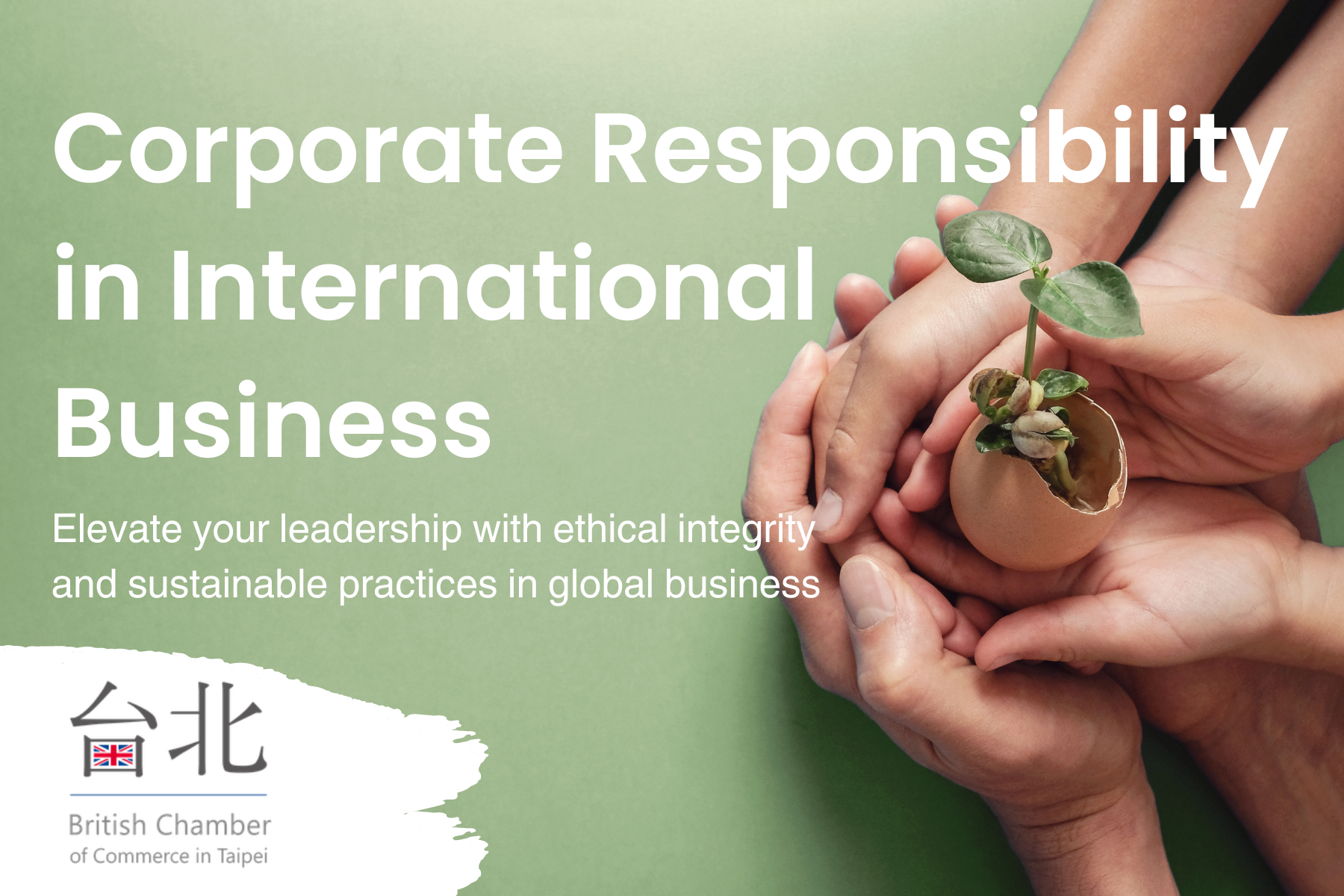 Corporate Responsibility in International Business