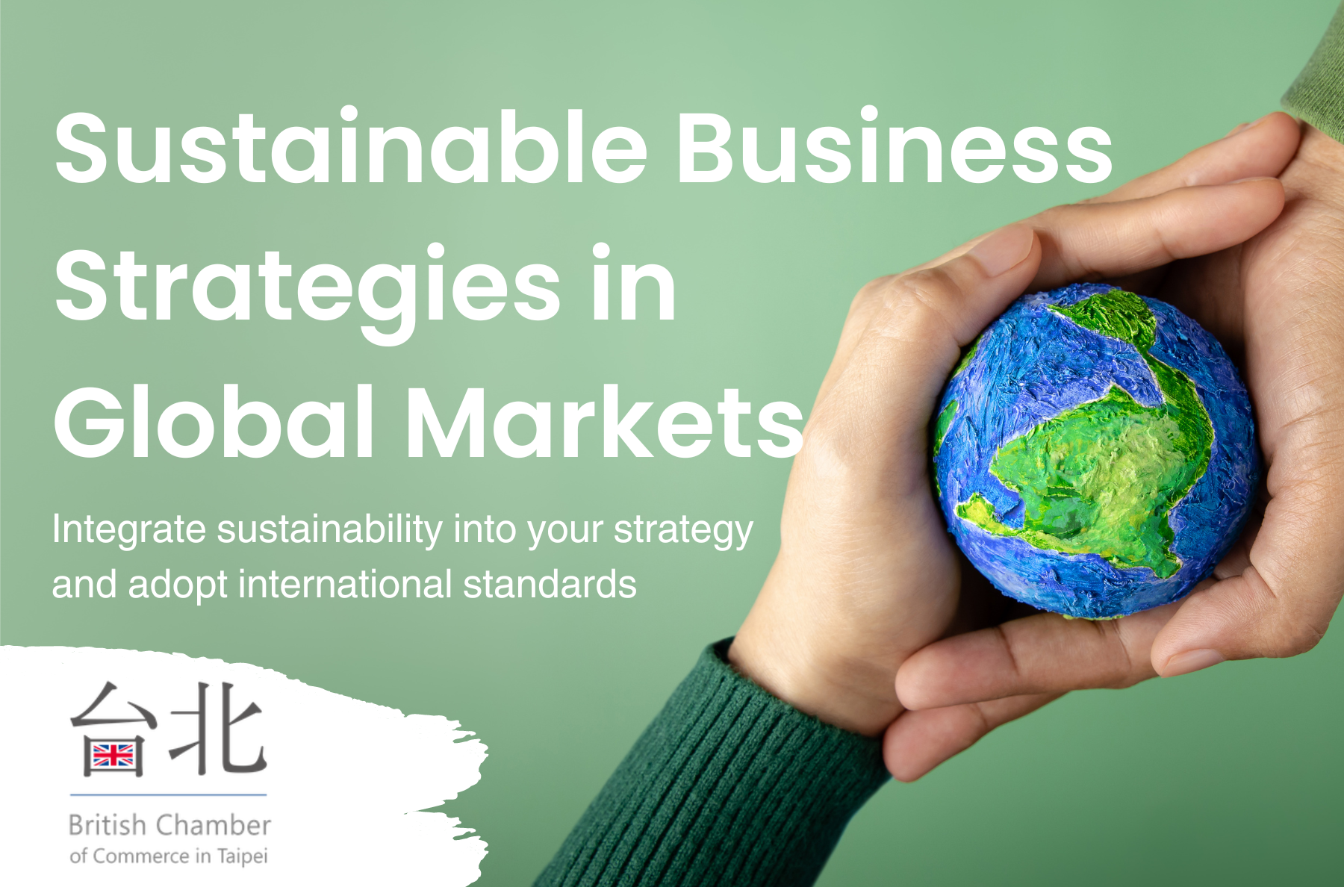 Sustainable Business Strategies in Global Markets